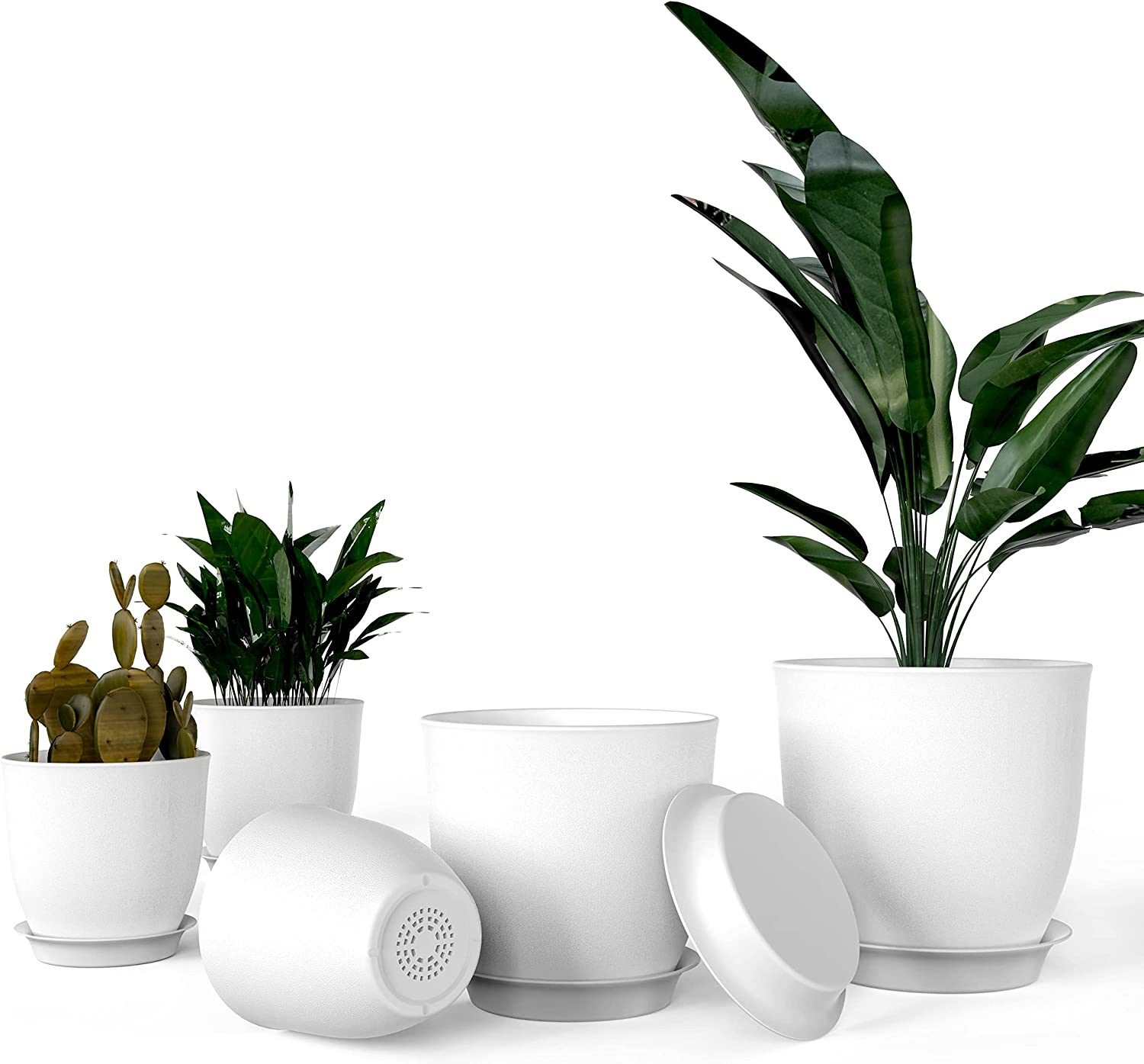 5 Creative Ways to Use Planters in Your Home Décor